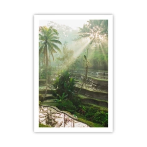 Poszter - Felnőni a napon - 61x91 cm