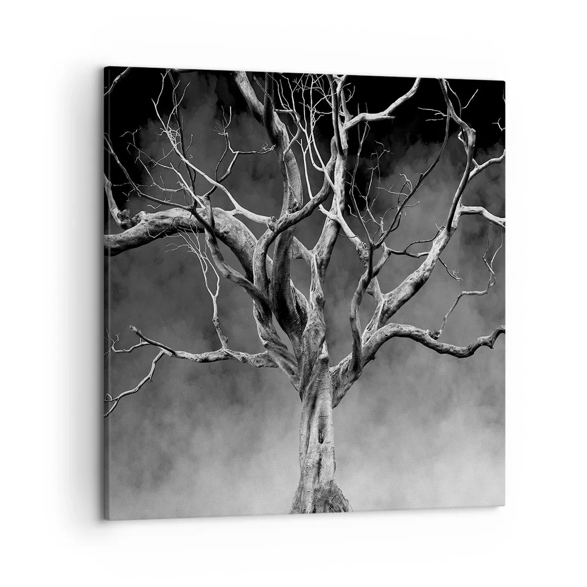 Vászonkép - Ősi és szent - 50x50 cm