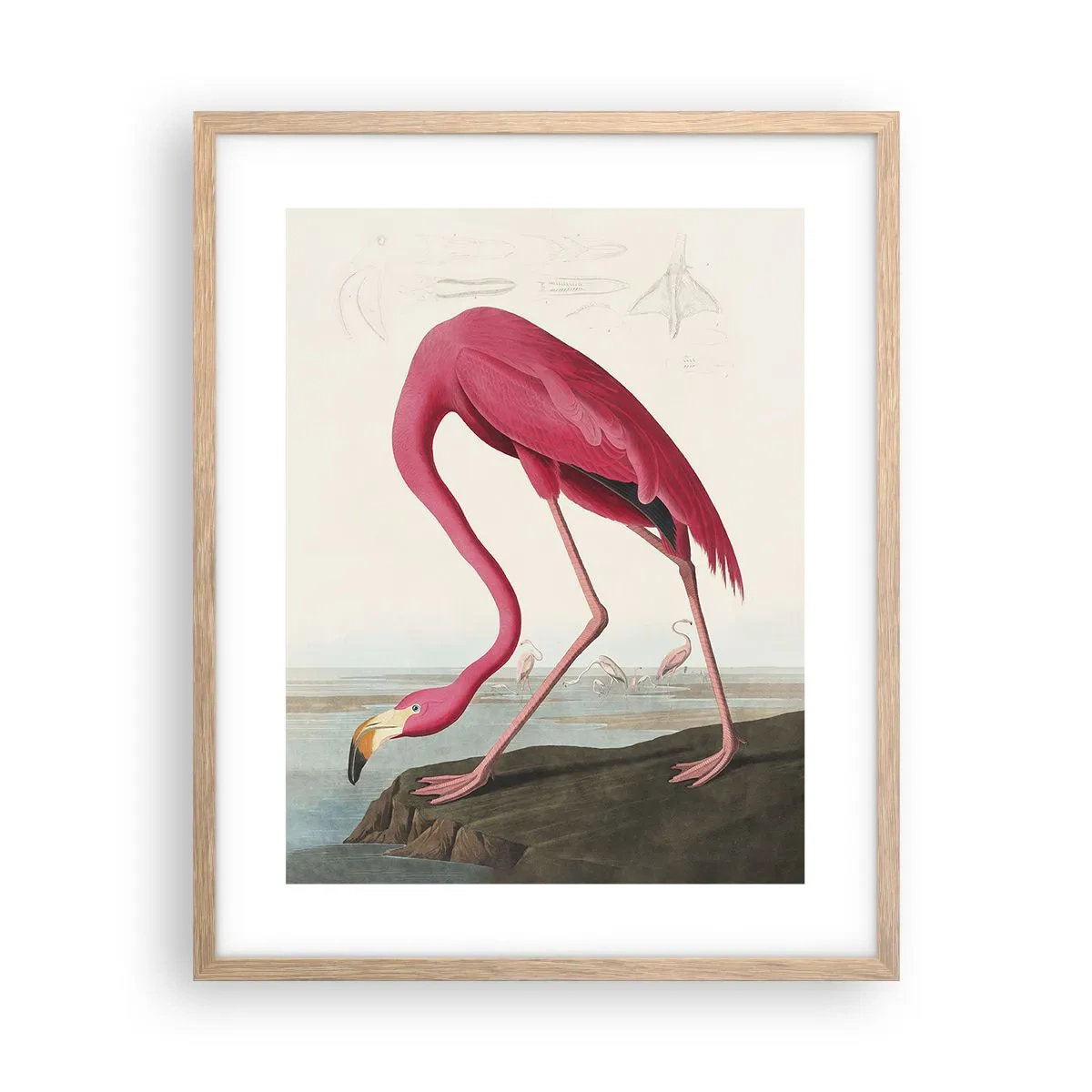 Poszter világos tölgy keretben - Csodálatos teremtmény - 40x50 cm