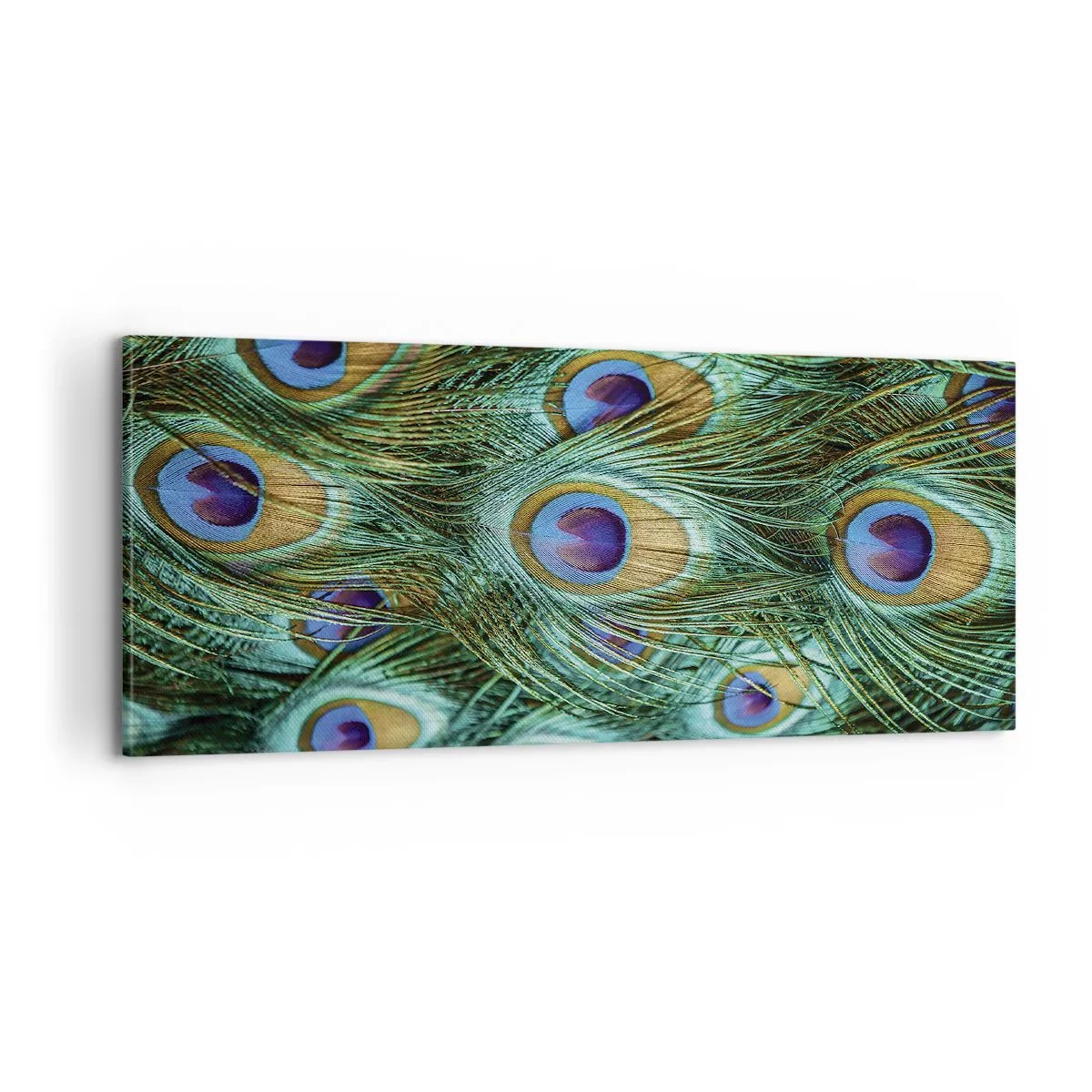 Vászonkép - Pávaszemű pillantás - 100x40 cm