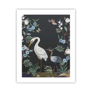 Poszter - Madar parádé - 40x50 cm