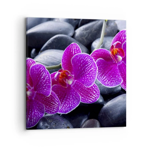 Vászonkép - A kövek kivilágosodtak az örömtől - 70x70 cm