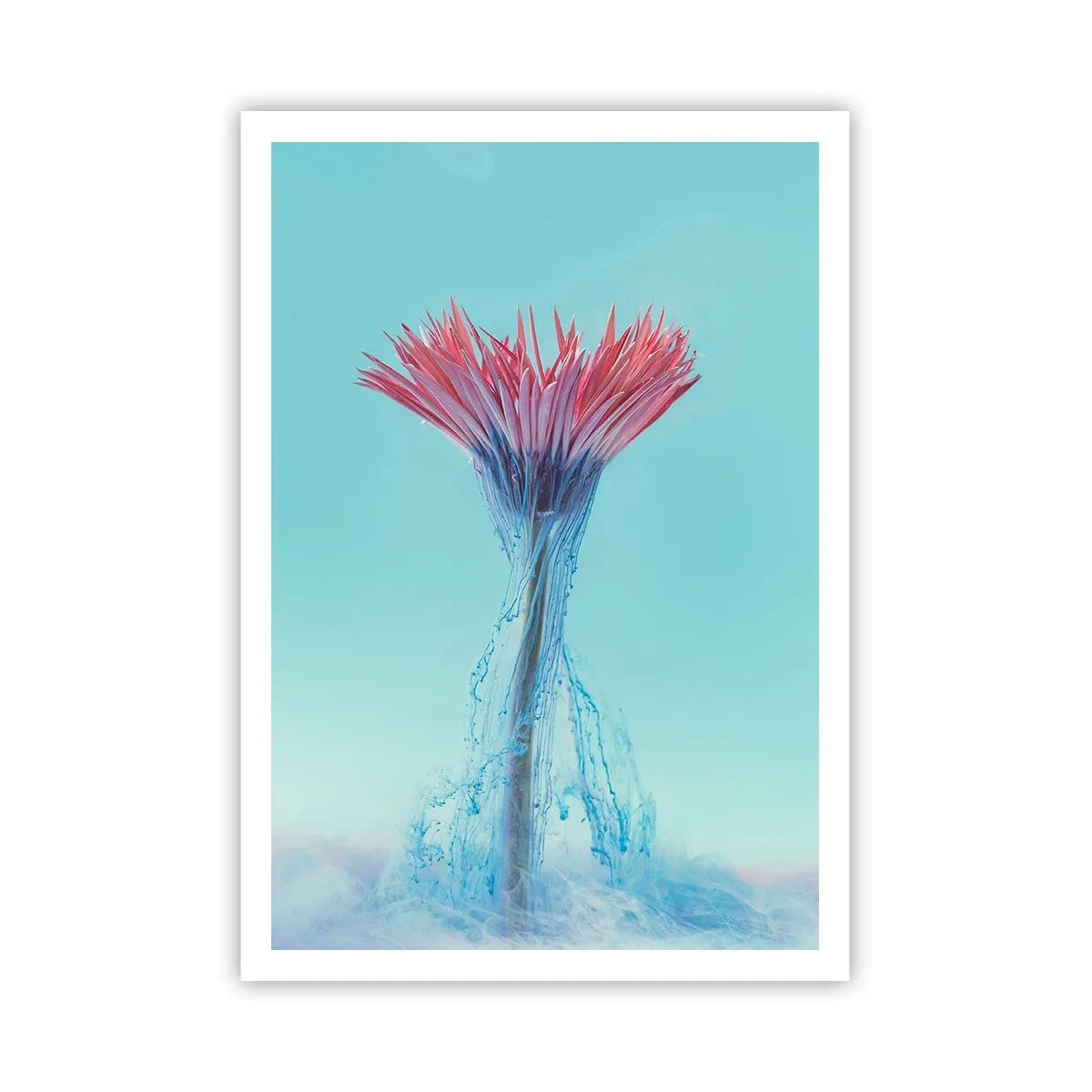 Poszter - Élénkítő ölelésben - 70x100 cm