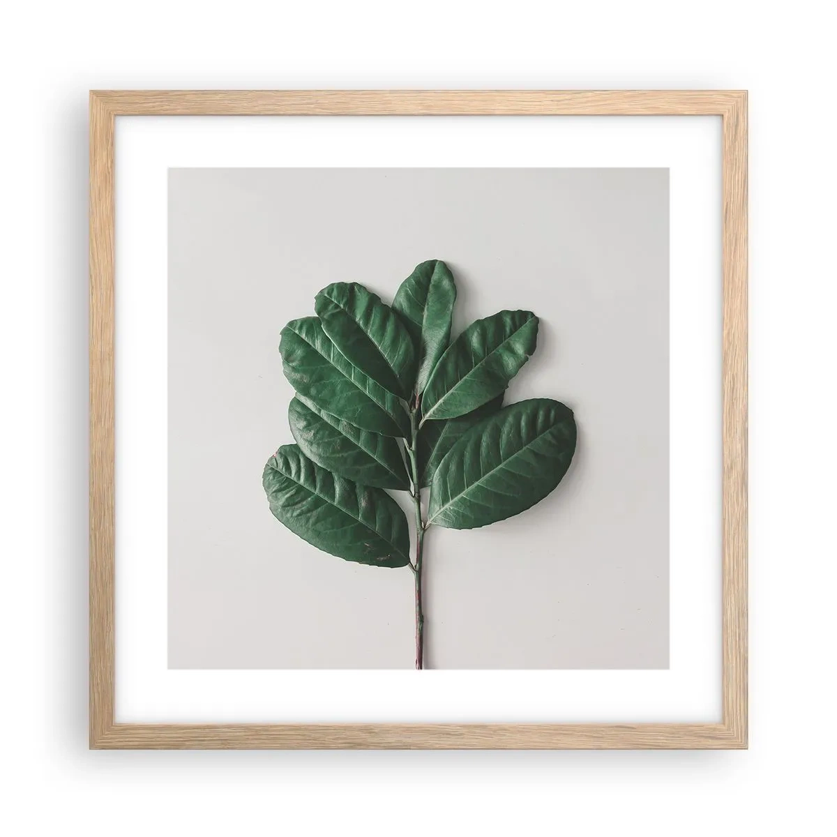 Poszter világos tölgy keretben - Rajz csak a természetről - 40x40 cm