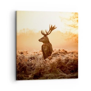 Vászonkép - A birtok ura - 70x70 cm