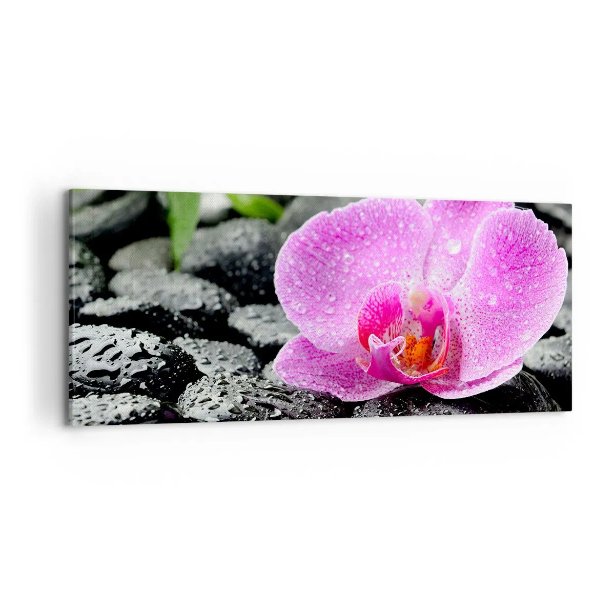 Vászonkép - Mint egy nyitott szív - 120x50 cm