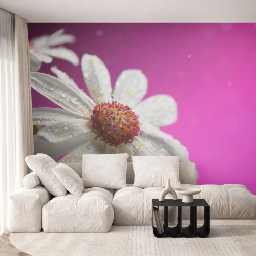 Fotótapéta Premium Sand - A Szépségében szerény - Virág, Természet, Kert - 100x70 cm