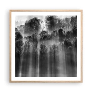 Poszter világos tölgy keretben - Fénypatakokban - 60x60 cm