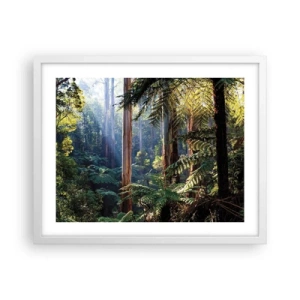 Poszter fekete keretben - Erdei mese - 50x40 cm