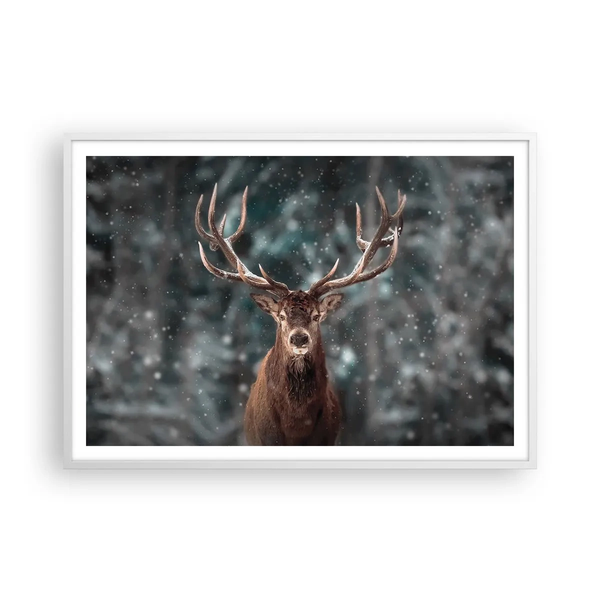 Poszter fekete keretben - Az erdő királya koronázva - 100x70 cm