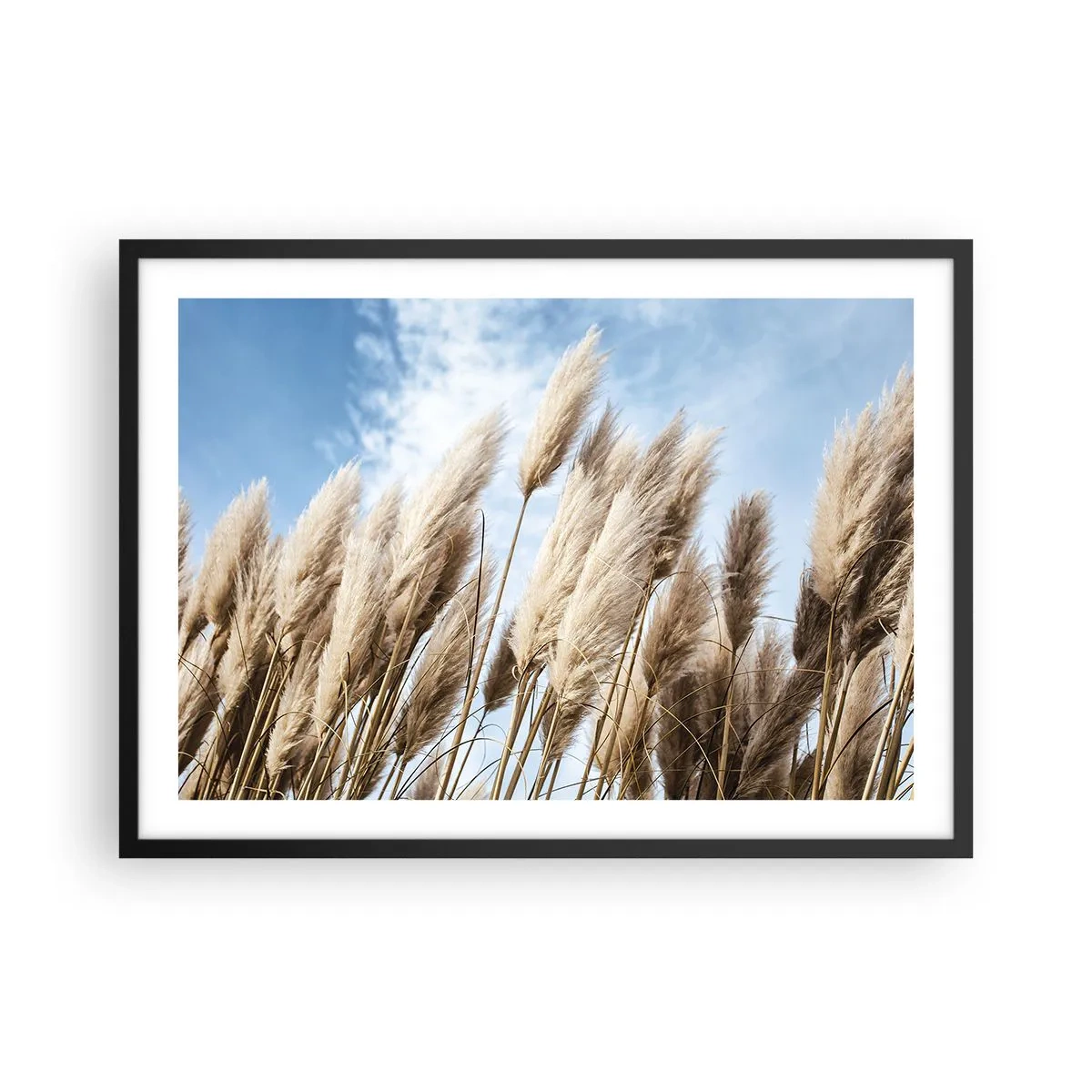 Poszter fehér keretben - Napos és szeles simogatás - 70x50 cm