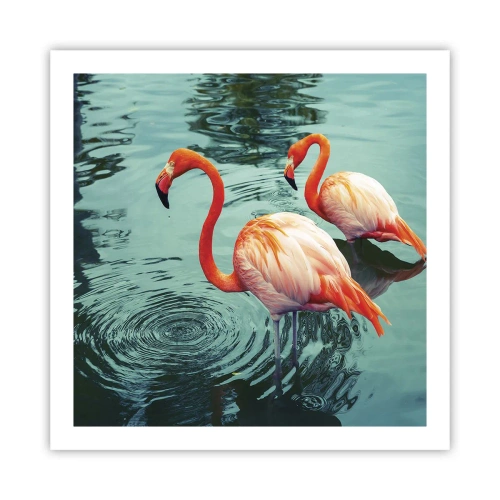 Poszter - Most divatban vagyunk - 60x60 cm