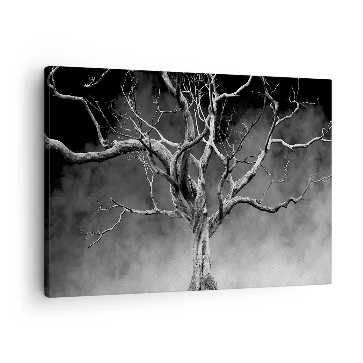 Vászonkép - Egy száraz fa fekete-fehérben a ködben - 70x50cm - Ősi és szent - Modern fali dekoráció nappalihoz és hálószobához ARTTOR