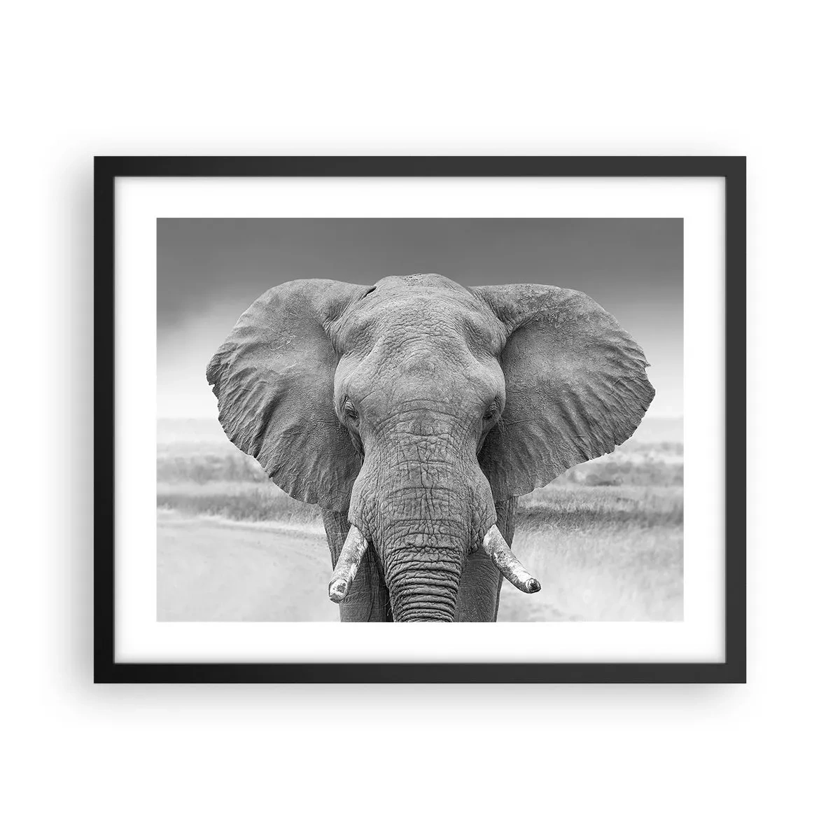 Poszter fehér keretben - Üdv a világomban - 50x40 cm