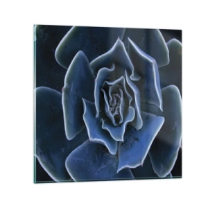 Üveg kép - A sivatag virága - 70x70 cm
