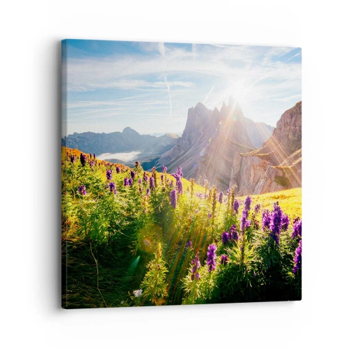 Vászonkép - A gyógynövények titkos élete - 30x30 cm