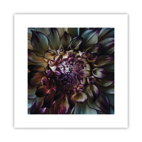 Poszter - A fiatalság kivirágzása - 30x30 cm