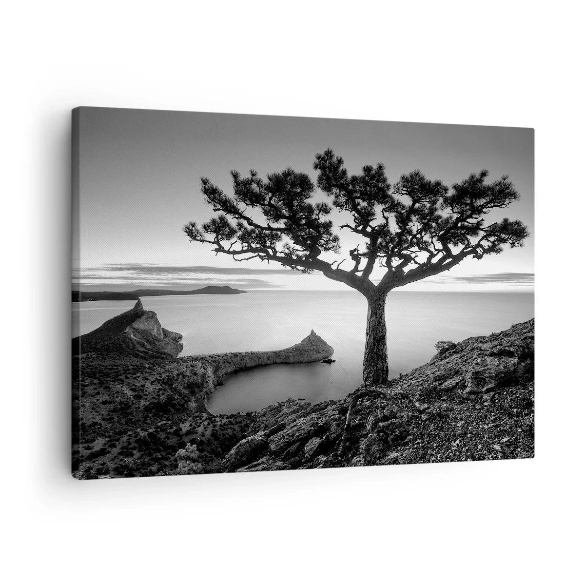 Vászonkép - Fekete-fehér tájkép egy magányos fával egy sziklán a tenger felett - 70x50cm - Béke a horizontig - Modern fali dekoráció nappalihoz és hálószobához ARTTOR