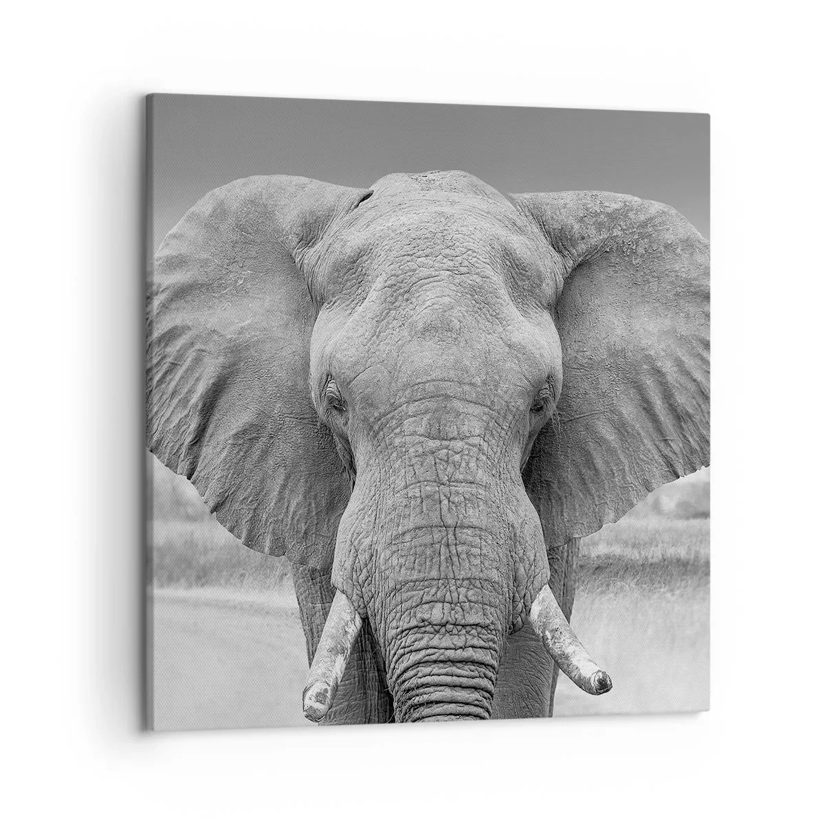 Vászonkép - Üdv a világomban - 50x50 cm