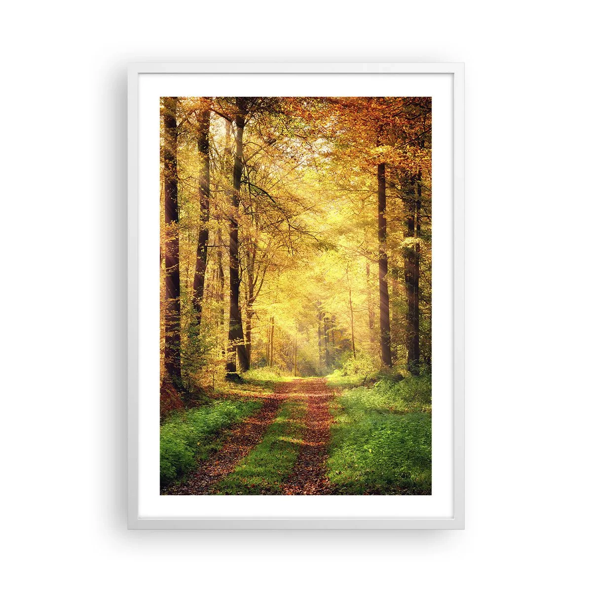 Poszter fekete keretben - Erdei, arany csend - 50x70 cm