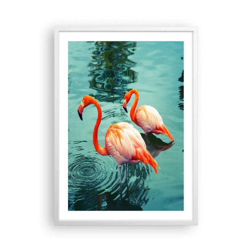 Poszter fekete keretben - Most divatban vagyunk - 50x70 cm