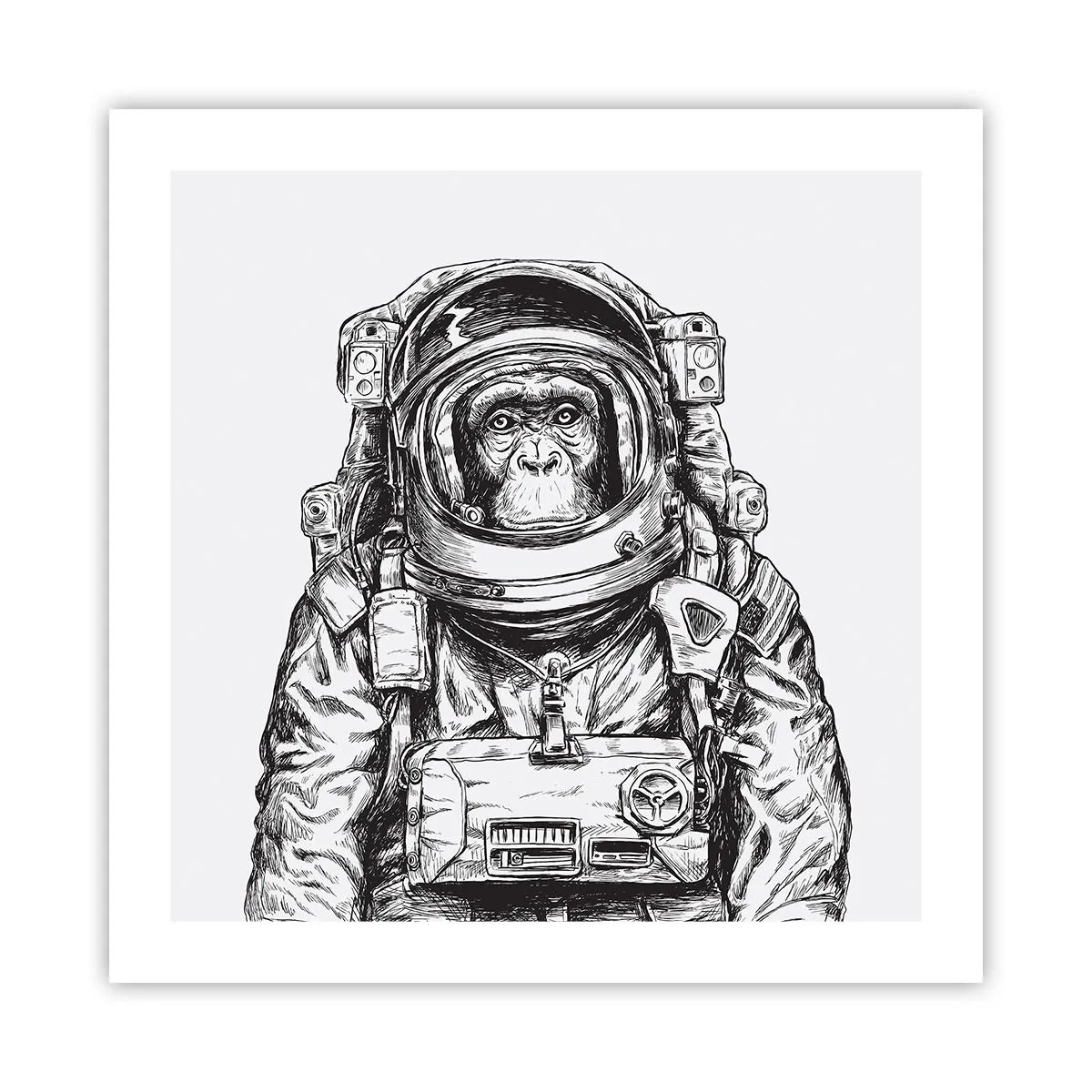 Poszter - Alternatív evolúció - 50x50 cm