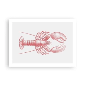 Poszter - Homéroszhoz méltó homár - 70x50 cm