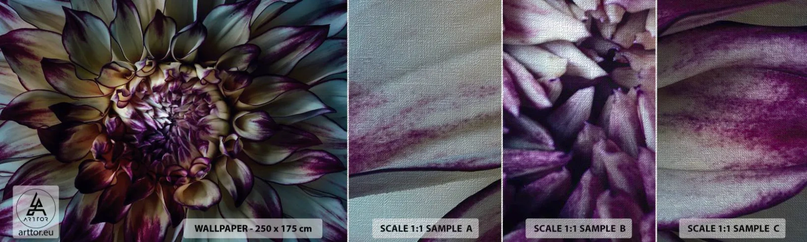 Fotótapéta Minta Premium Canvas - A fiatalság kivirágzása - Virágok, Dália, Virágzó Virág - 100x30 cm