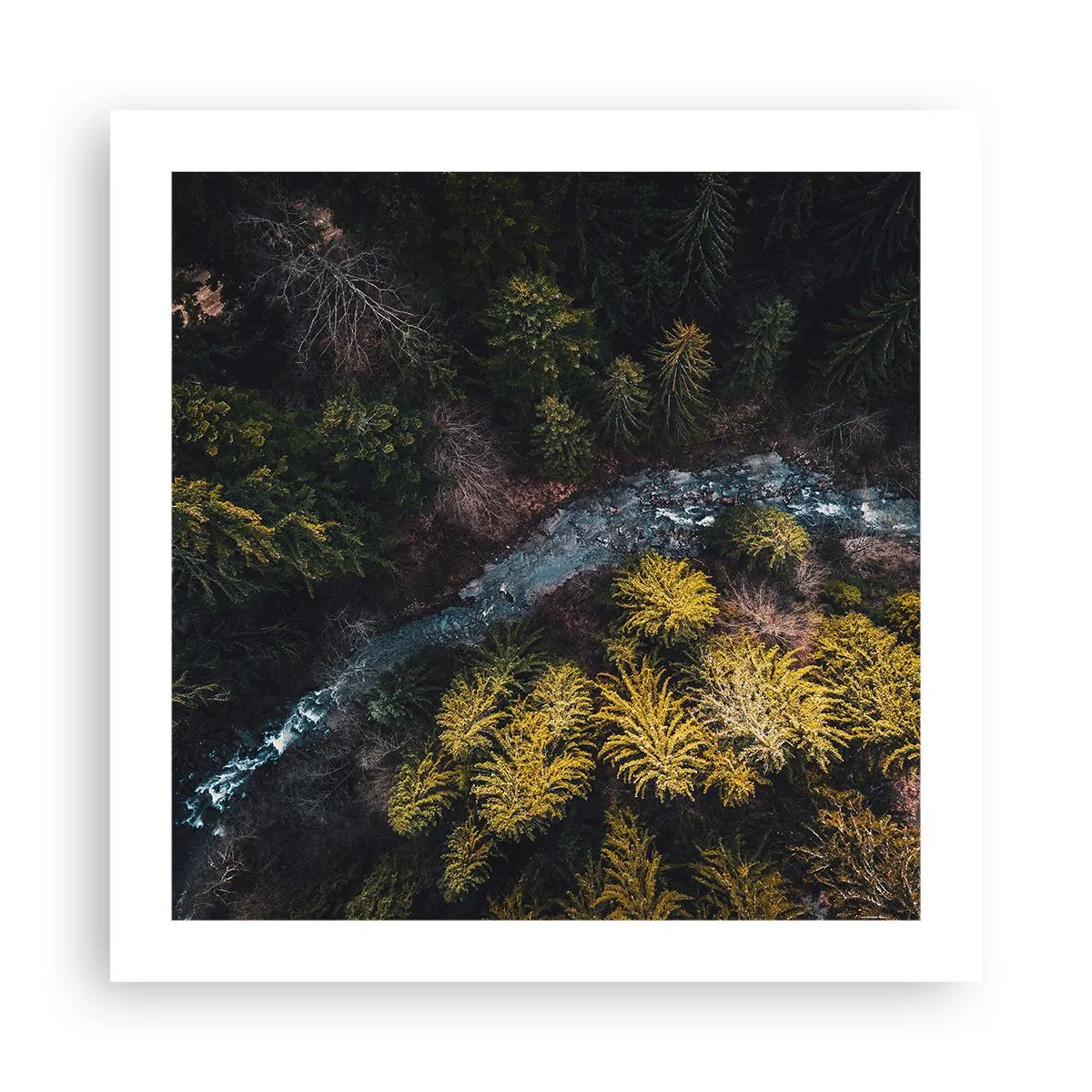 Poszter - Gyorsan, egyre gyorsabban - 50x50 cm