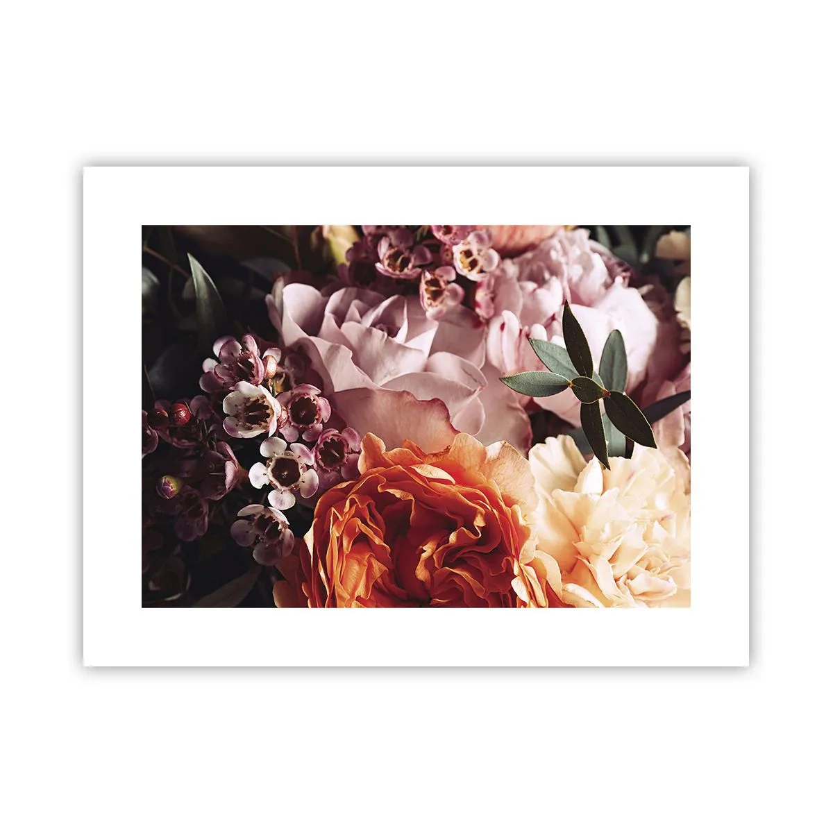 Poszter - Szépségbe burkolózva - 40x30 cm