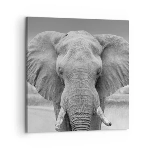 Vászonkép - Üdv a világomban - 60x60 cm