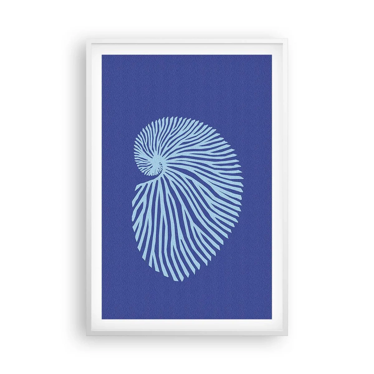 Poszter fekete keretben - Egy kagyló születése - 61x91 cm