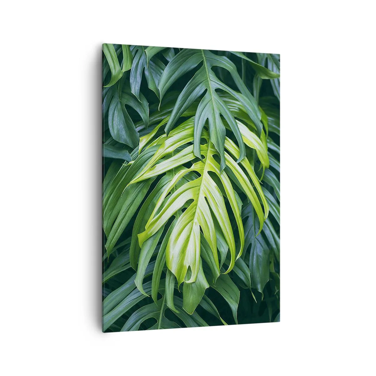 Vászonkép - Merüljön el a frissességben - 70x100 cm