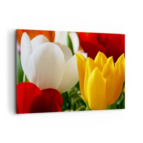 Vászonkép - Tulipán láz - 100x70 cm