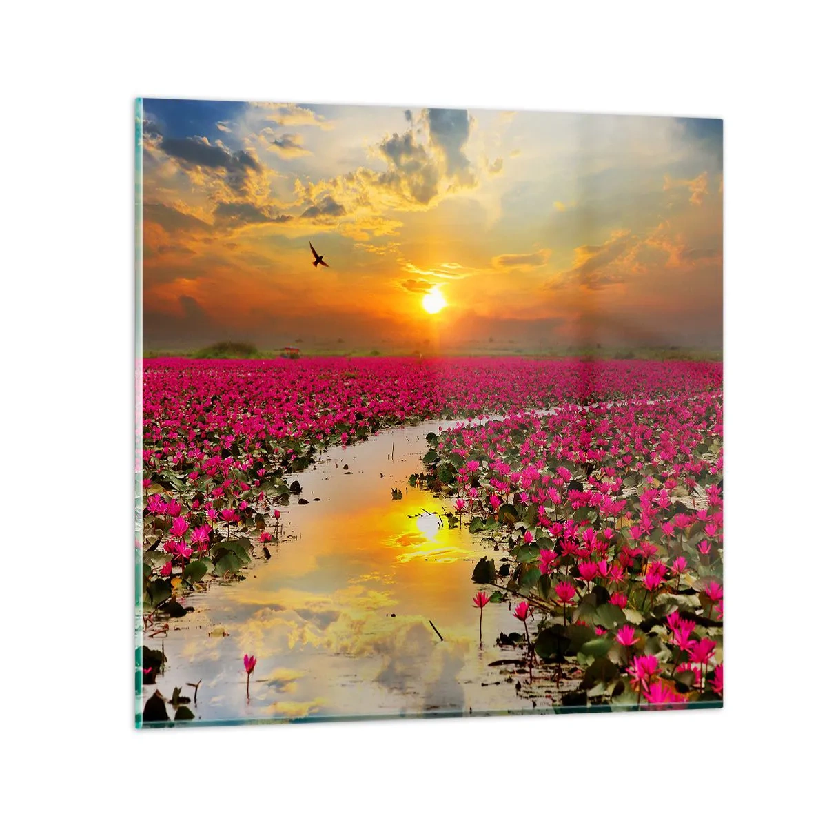 Üveg kép - A tó titokzatos élete - 60x60 cm