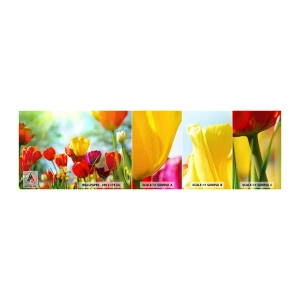 Fotótapéta Minta Öntapadós Deluxe Sticker - A nap minden színe - Tulipánok, Virágok, Rét - 100x30 cm