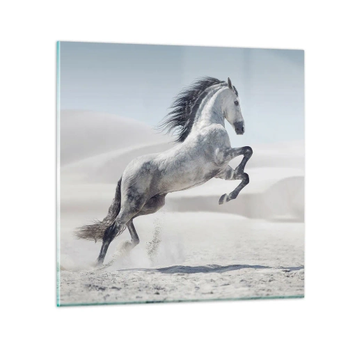 Üveg kép - arab herceg - 30x30 cm