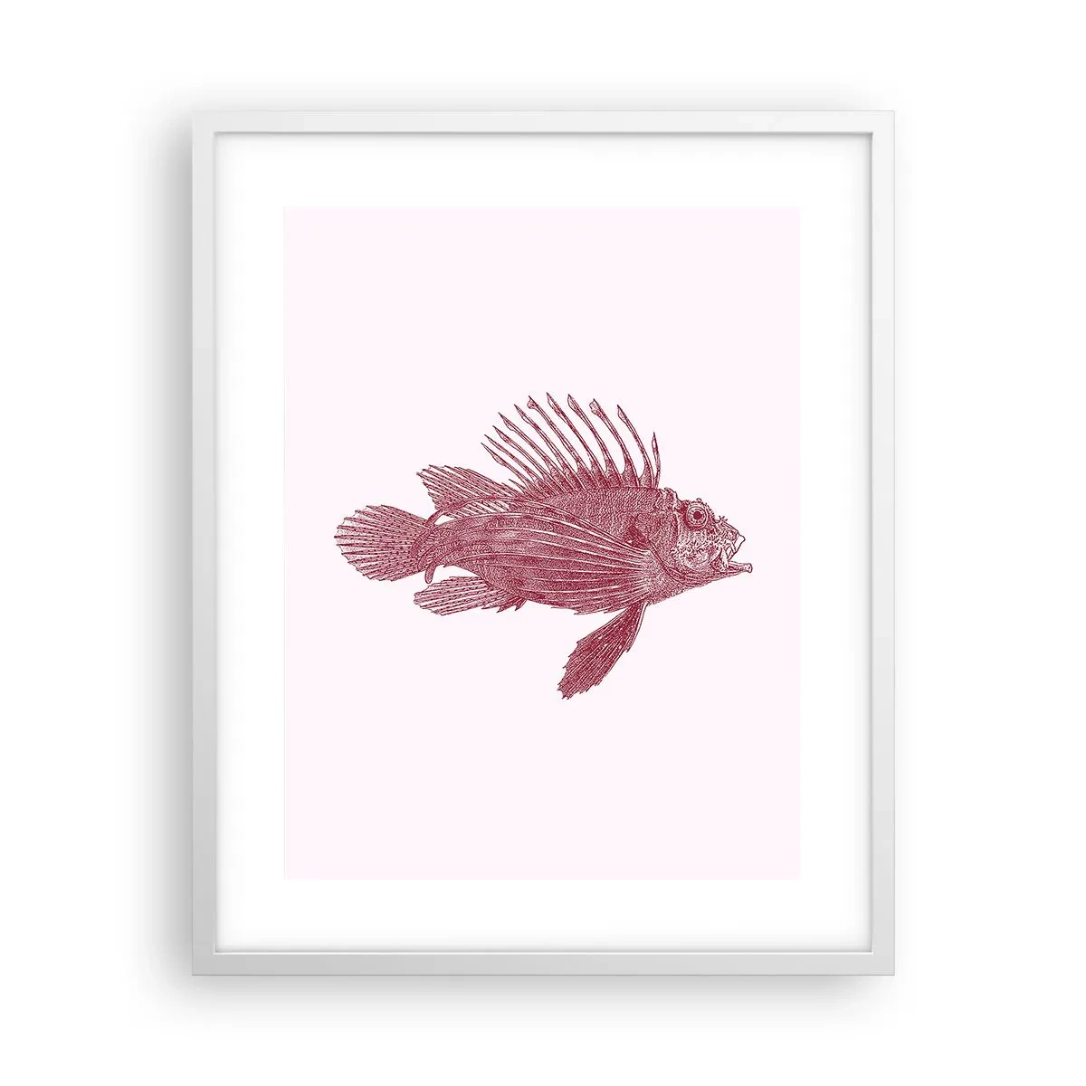 Poszter fekete keretben - Egzotikus vizek lakója - 40x50 cm