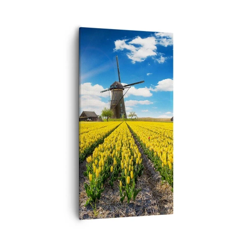 Vászonkép - Nem is lehetne hollandabb - 55x100 cm
