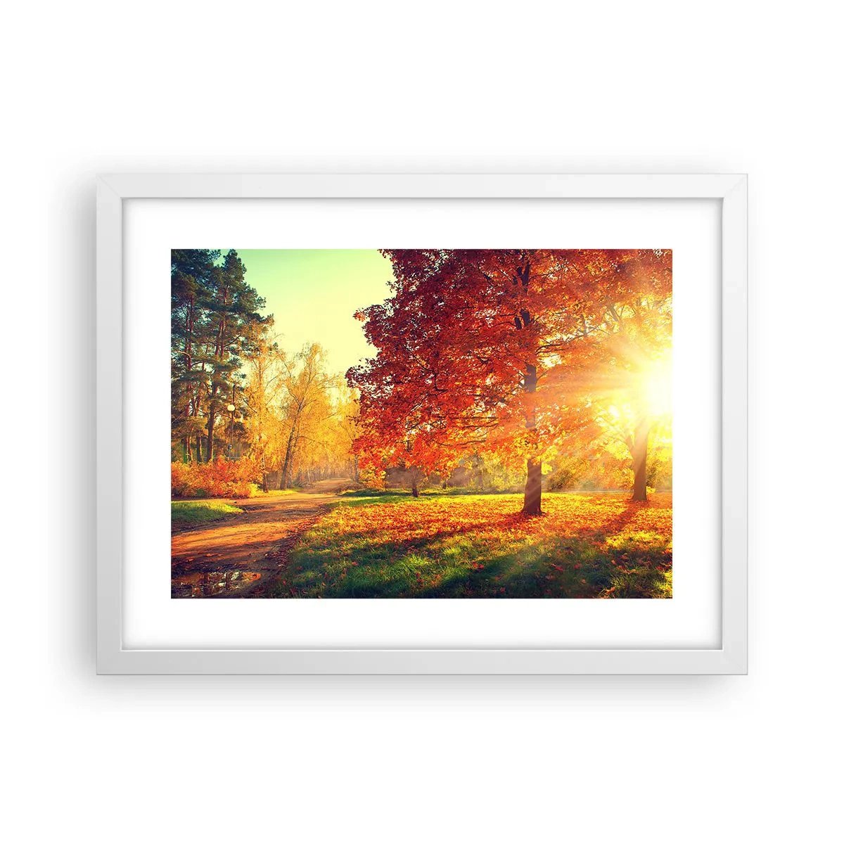 Poszter fekete keretben - A vörös gyönyörű - 40x30 cm