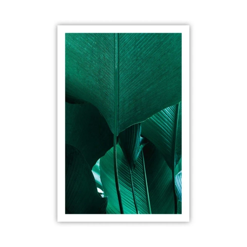 Poszter - A fény felé nézve - 61x91 cm