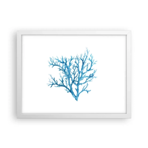 Poszter fekete keretben - Tengeri filigrán - 40x30 cm