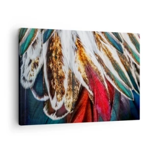 Vászonkép - Élénk, intenzív színekben pompázó többszínű tollak közeli képe - 70x50cm - A repülés titkai - Modern fali dekoráció nappalihoz és hálószobához ARTTOR