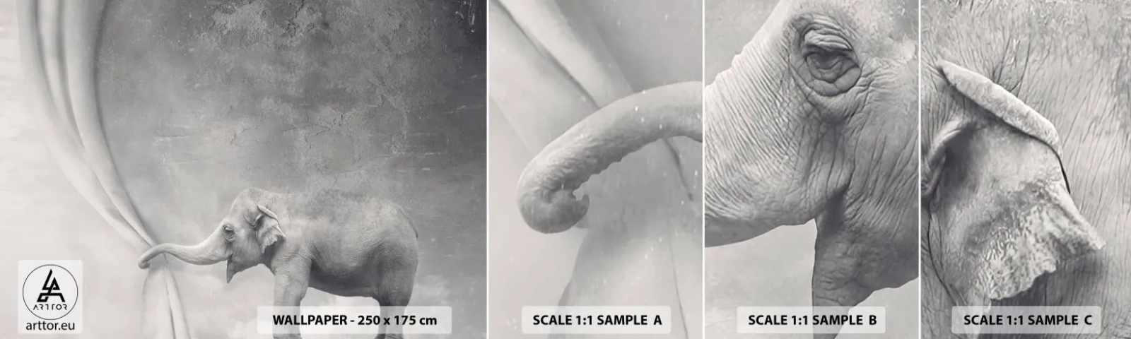 Fotótapéta Minta Standard Eco - Feltárni a titkot - Absztrakció, Elefánt, Grafika - 100x30 cm