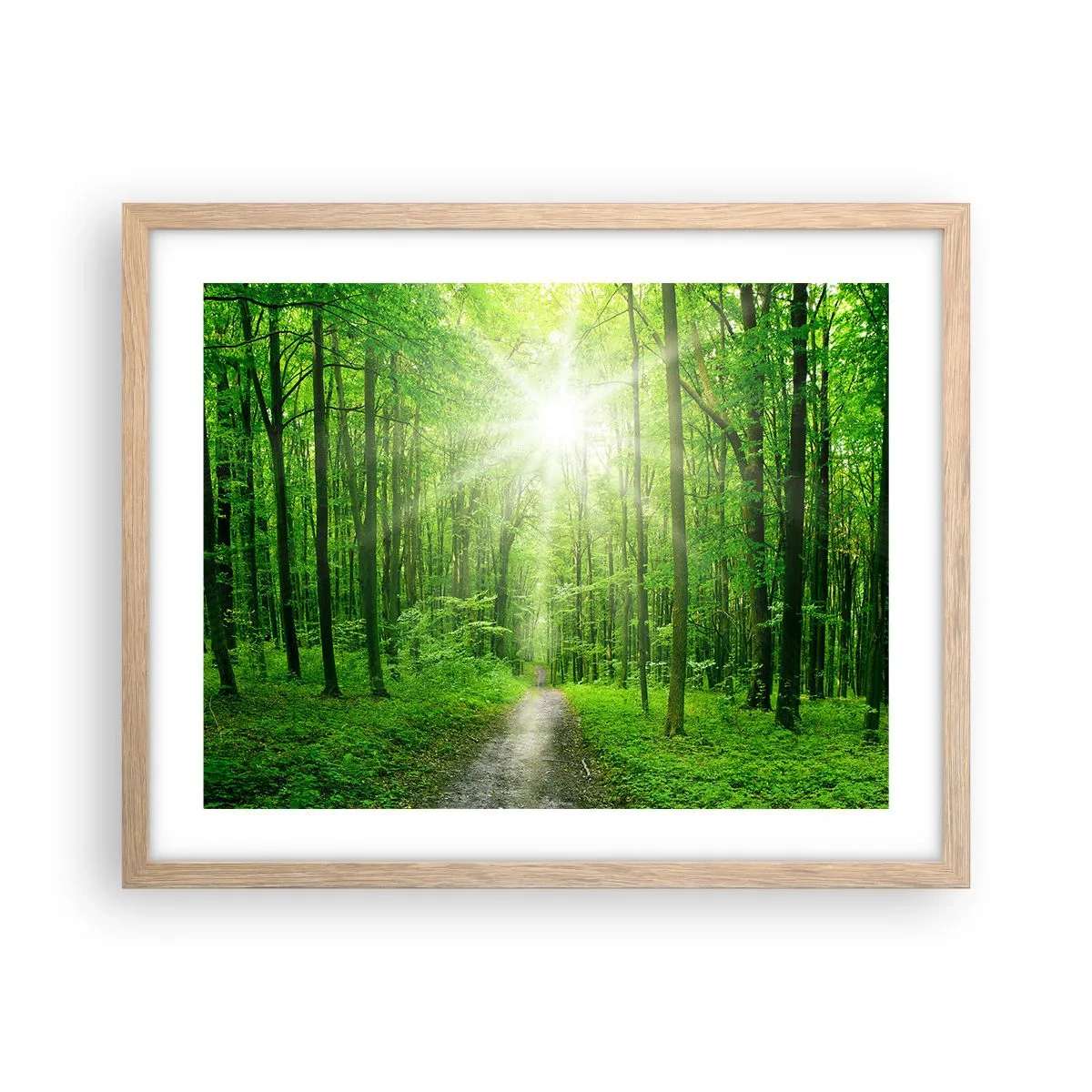 Poszter világos tölgy keretben - A zöld katedrális - 50x40 cm