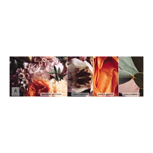 Fotótapéta Minta Öntapadós Deluxe Sticker - Szépségbe burkolózva - Virágok, Csokor virág, Rózsa - 100x30 cm