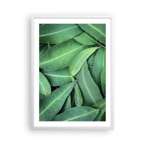 Poszter fekete keretben - Lédús és friss - 50x70 cm