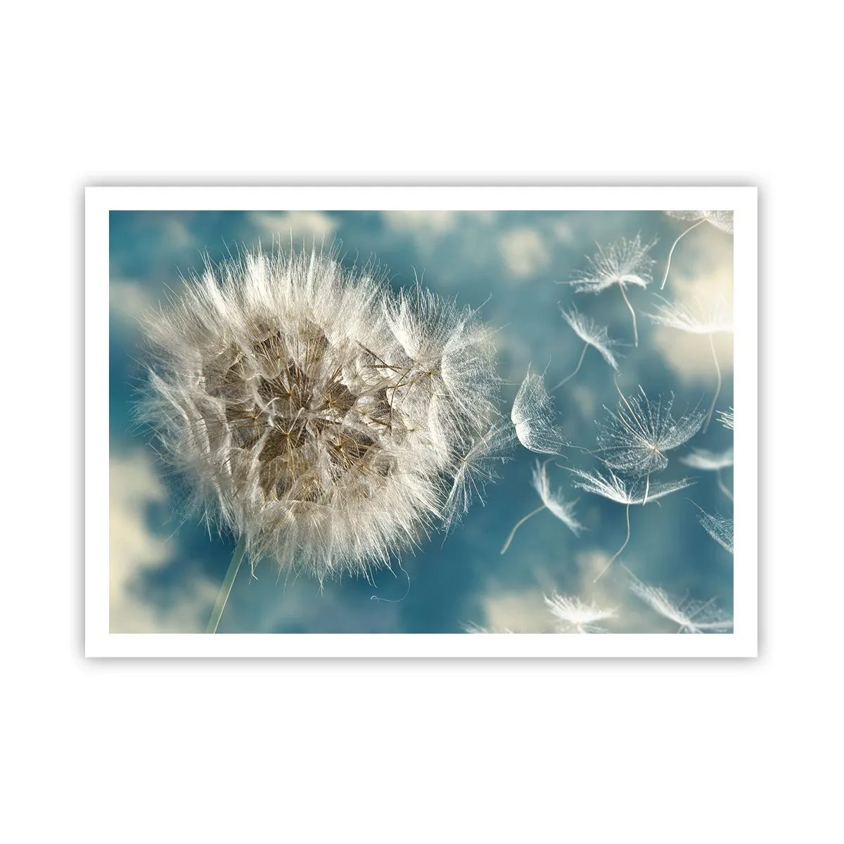 Poszter - Angyal lehelete - 100x70 cm