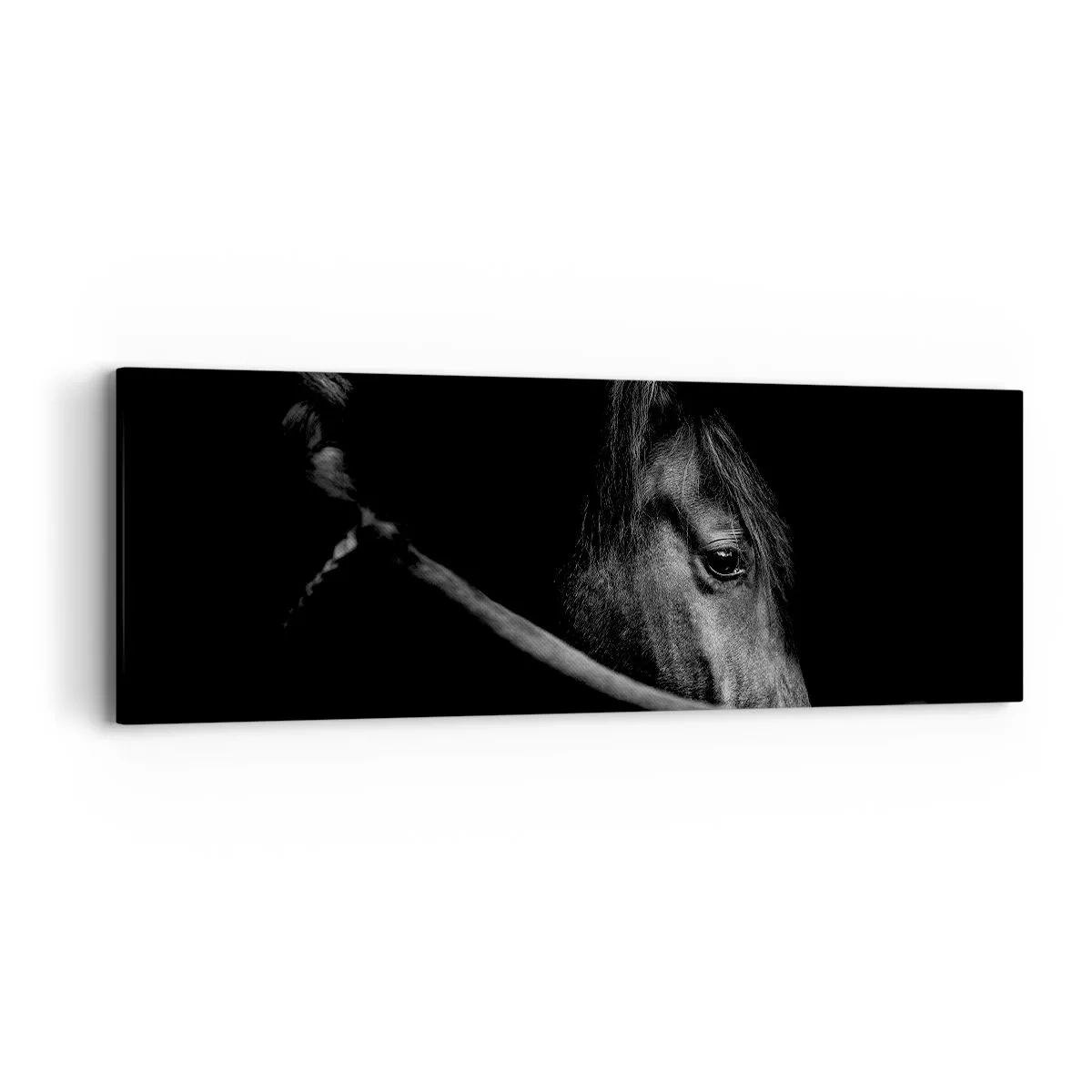 Vászonkép - Fekete herceg - 90x30 cm