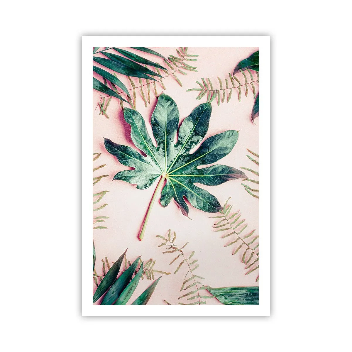 Poszter - A zöld tanulmánya a rózsaszín háttérben - 61x91 cm